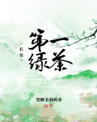 長安第一綠茶小说封面