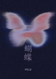蝴蝶是什么小说封面