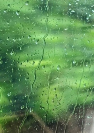 雨季,小说封面