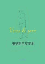 维纳斯与皮纳斯（现言h）小说封面